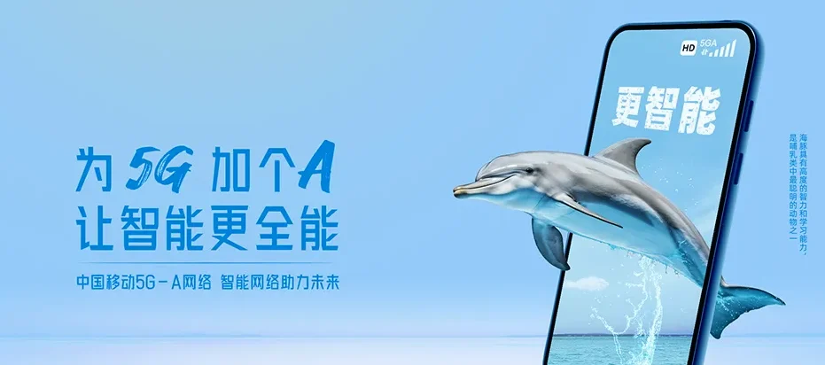 广南县广南县董堡乡 移动宽带